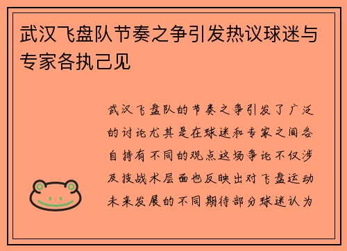 武汉飞盘队节奏之争引发热议球迷与专家各执己见