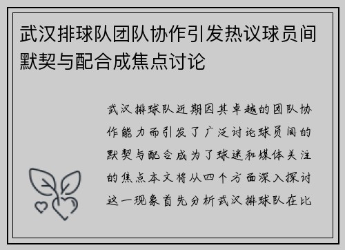 武汉排球队团队协作引发热议球员间默契与配合成焦点讨论